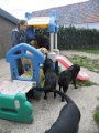 afb_20160430 (2)